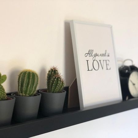 Apartman Spring Sombor Buitenkant foto